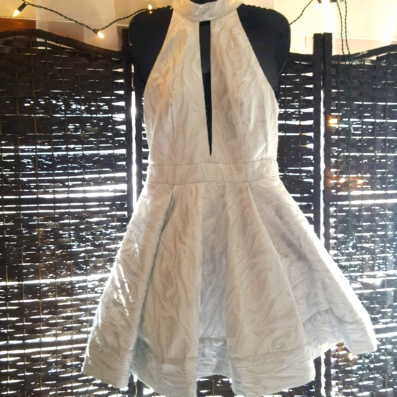 bebe holiday dresses